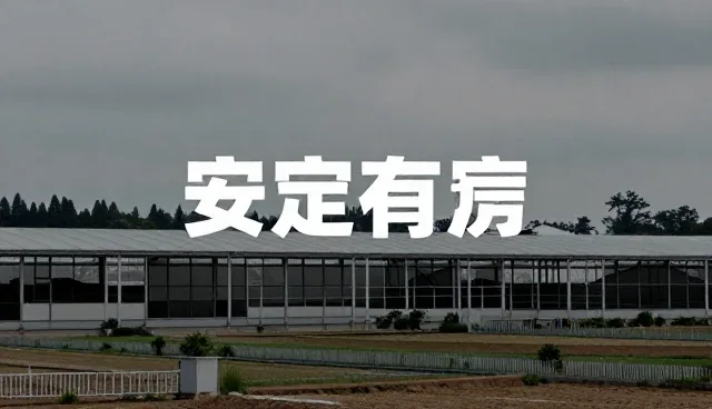 品牌咨询适用条件:项目执行中的关键考量